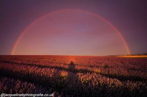 11874974_513560555474381_8608644936462473404_o