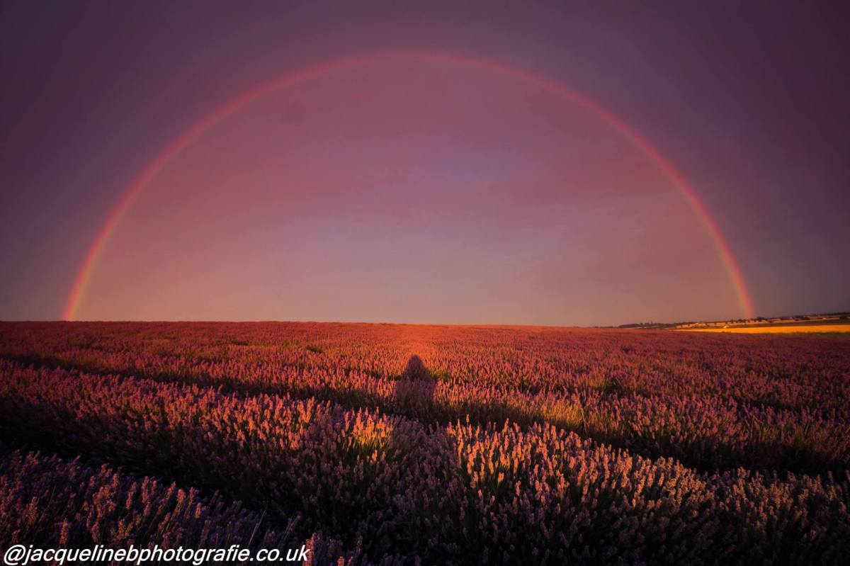 ~The Art of Quiet&nbsp;leadership