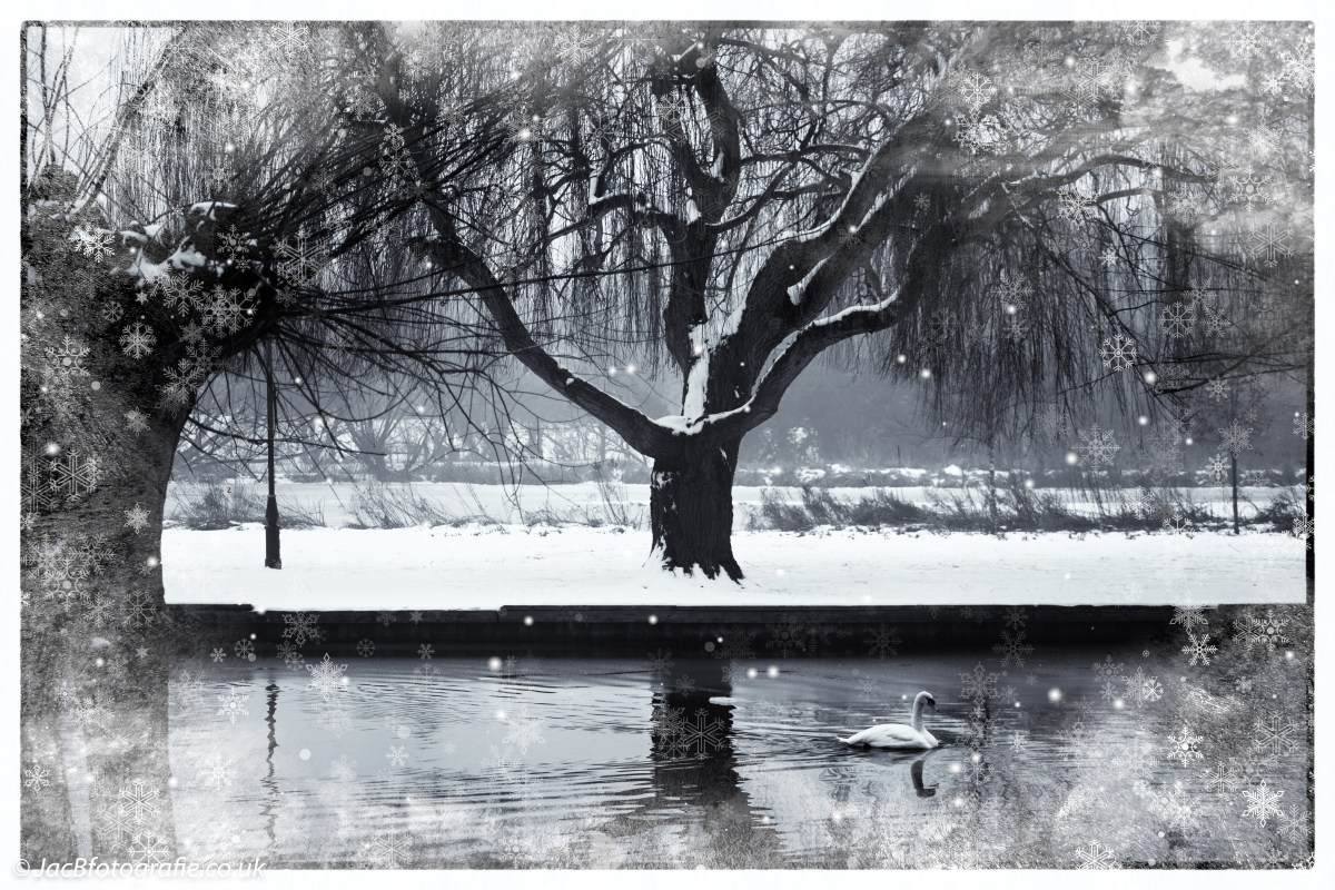 Why this government may never regain the trust of the&nbsp;people